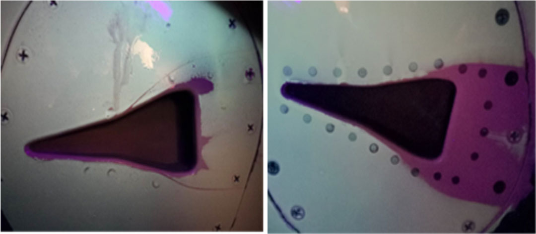 图2 显色涂层显色情况（左翼、右翼）